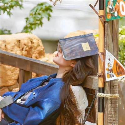 伤害案 在线观看