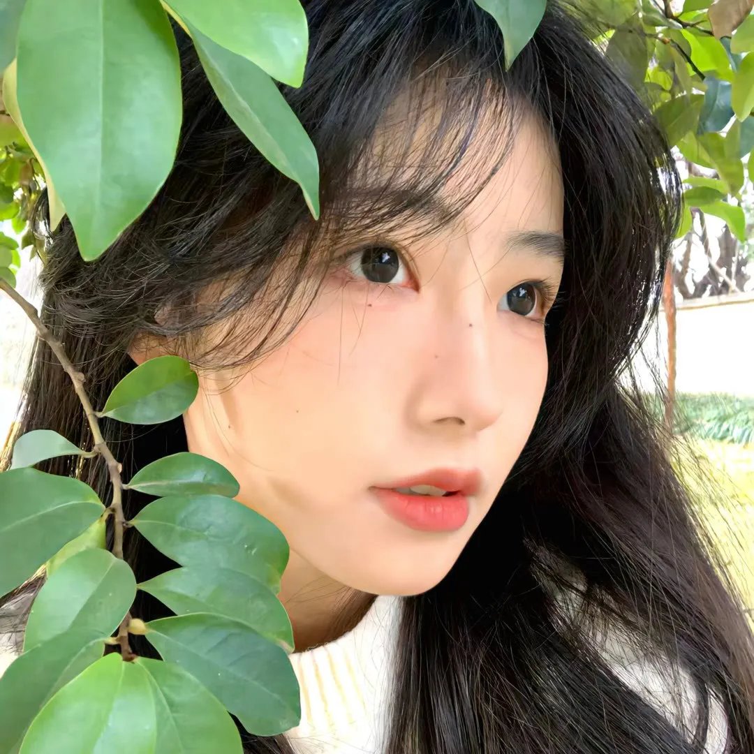 夏虫可语冰 在线观看